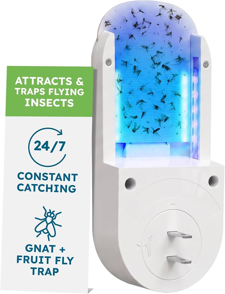 BugMD No Buzz Zone Fruit Fly Trap for Indoors with UV Light | Amazon (US)