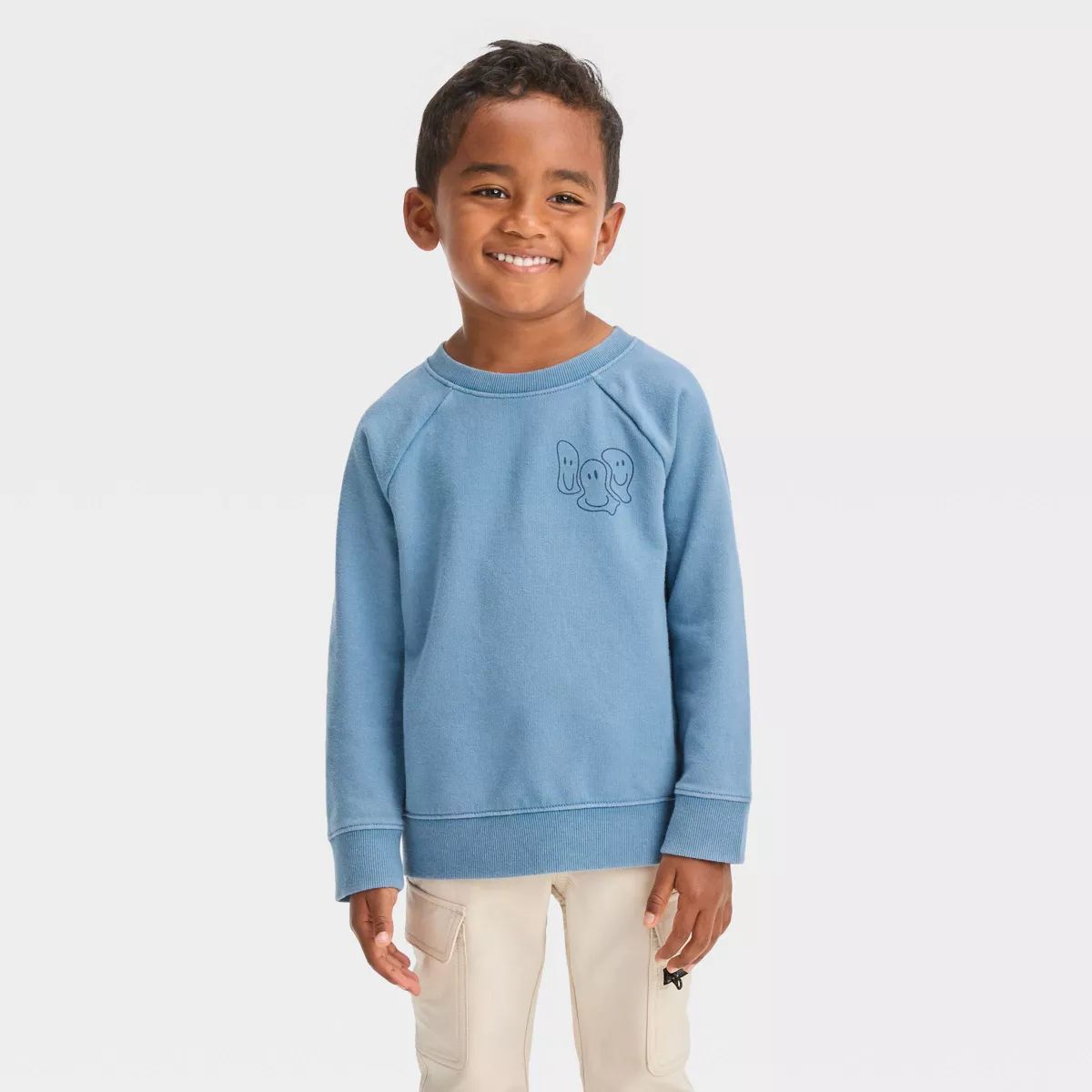 Toddler Boys' Washed Crew Neck Pullover Sweatshirt - Cat & Jack™ | Target