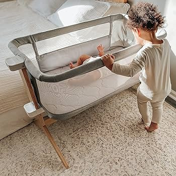 Newton Baby Fitted Sheets for Bassinet & Bedside Sleeper, Essential Bassinet (2-Pack) - Ultra-Bre... | Amazon (US)