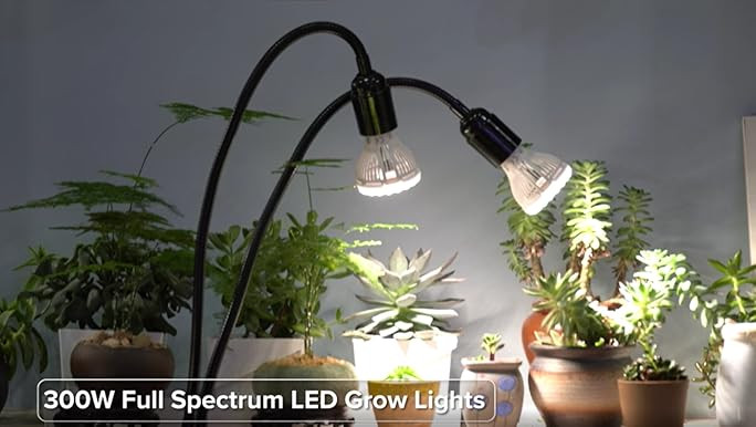 SANSI Grow Light Bulb with COC Technology, Full Spectrum 24W Grow Lamp (300 Watt Equivalent) with Op | Amazon (US)