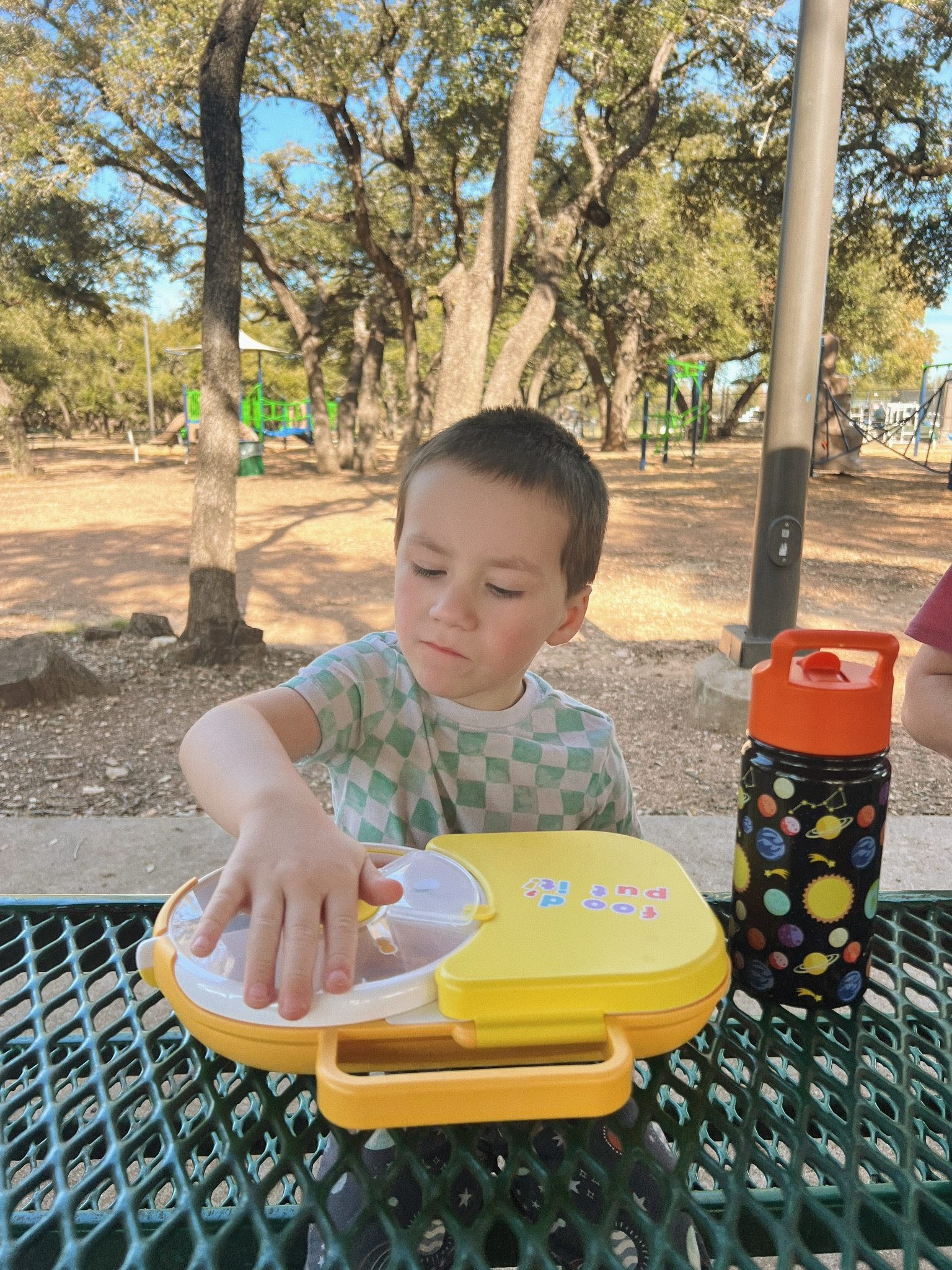 park day picnic essentials, toddler lunch box, toddler tumbler and travel cups

#LTKkids #LTKtravel #LTKhome