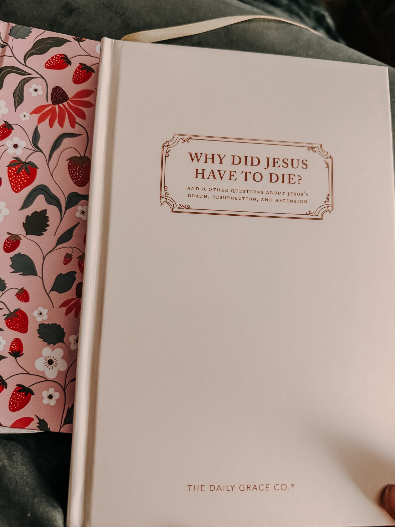 As I wrap up this book, I am so grateful for this season and the time to set other things aside and solely focus on the cross. If you have ever struggled with questions related to salvation, His death, or resurrection, this is the perfect book to read. This is a great book to gift as well! 

#LTKmorningroutine #LTKmomlife #LTKselfcare