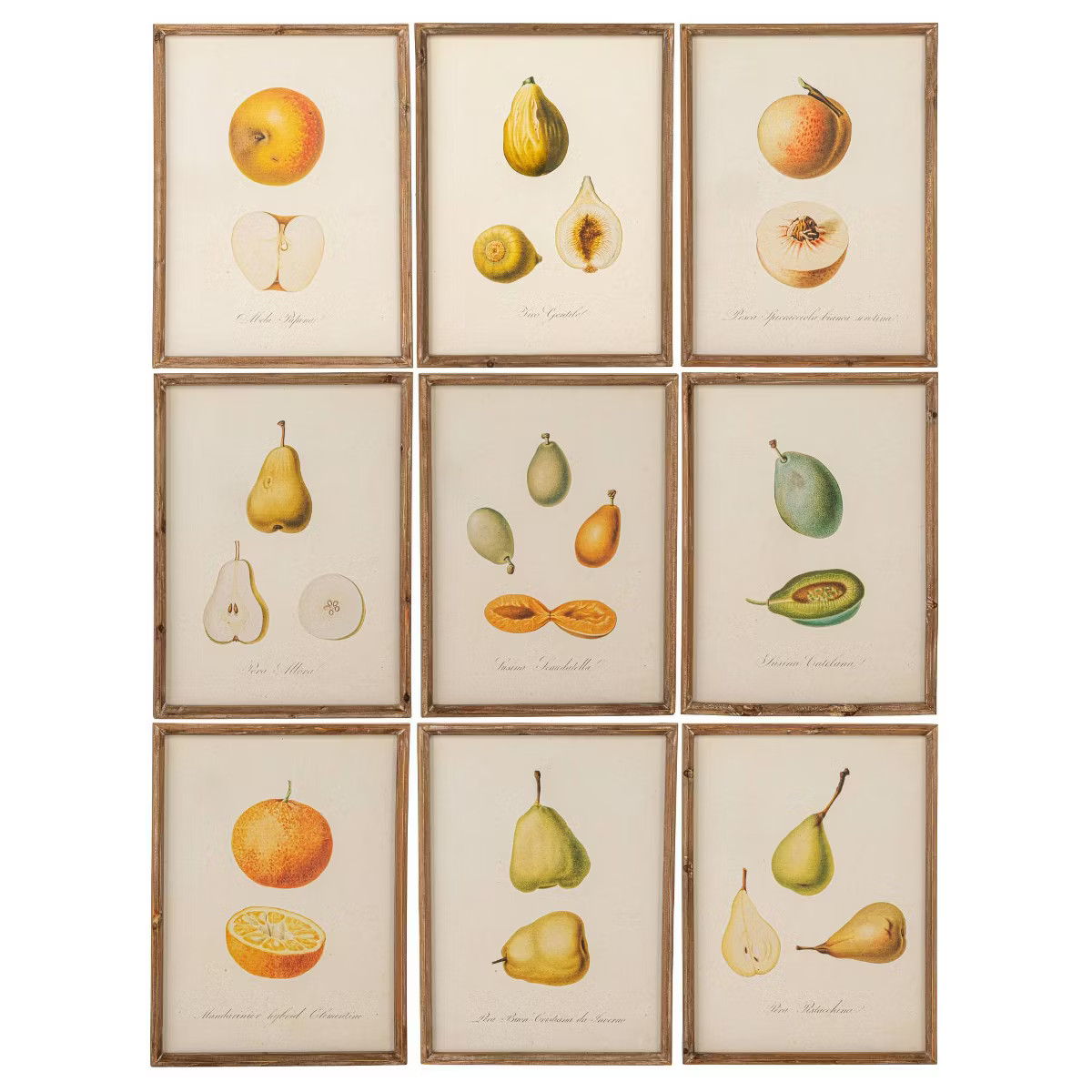 Storied Home (Set of 9) Reclaimed Wood Framed Fruit Print Wall Art Set: MDF, Modern Decor, Vertic... | Target