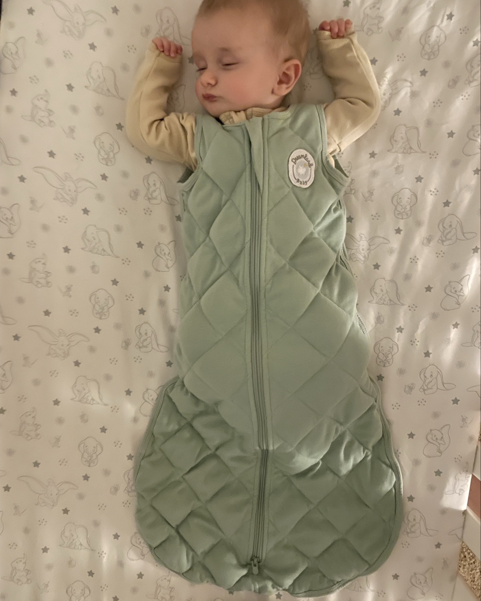 🎉 Dreamland Baby turns 6! 🎉
To celebrate, they’re giving YOU the gift 🥳

✨ Buy One, Get One FREE ✨
Now through October 1st, grab any Grey Star or Sage Green gently weighted product—and get another one FREE! 💚⭐

No code needed—just shop through my link:
👉 dreamlandbabyco.com/BEAUTYBYJENNIE

Perfect time to stock up for your little one (or grab a gift for a mama friend 💕).

#LTKbaby #DreamlandBaby #momlife #BOGO


#LTKBaby #LTKFamily #LTKBump