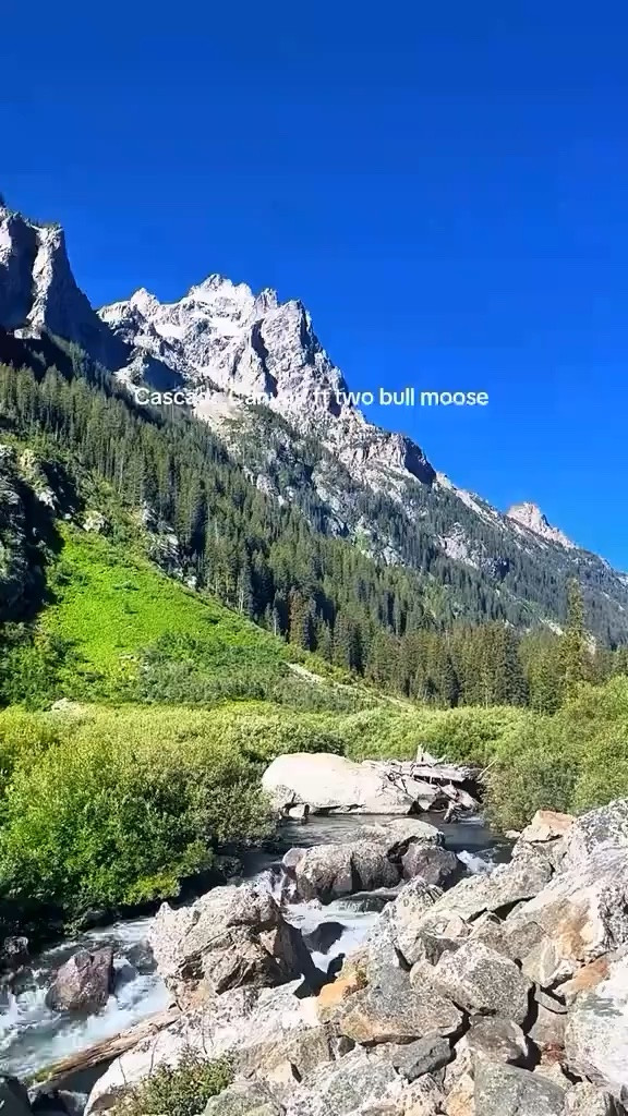 Wow I miss the Tetons and moose 
#grandteton #wyoming #jacksonhole #cascadecanyon #moose