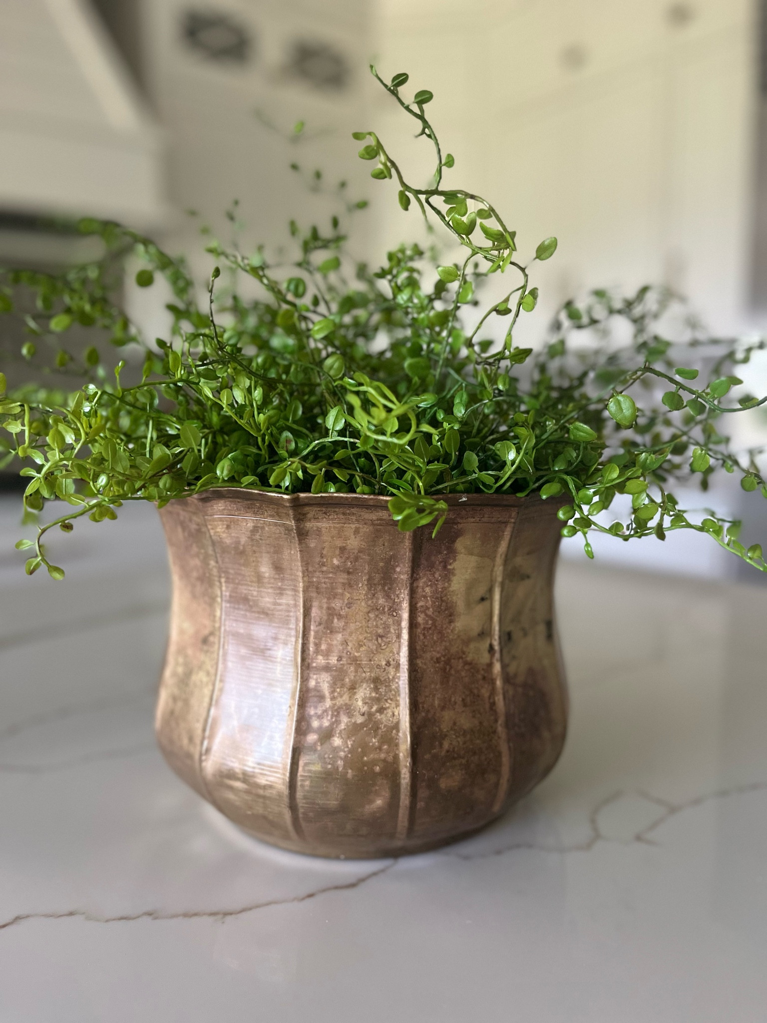 The BEST aged brass planter set! 

#LTKStyleTip #LTKHome #LTKSaleAlert
