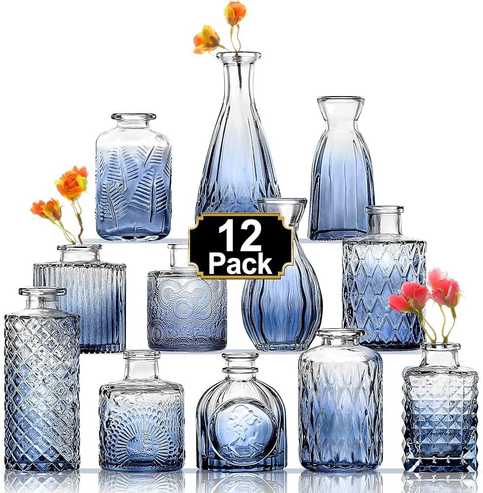 Arme Bud Vase Set of 12, Blue Vases Clear Flower Vase in Bulk, Small Vintage Vases for Flower Min... | Amazon (US)