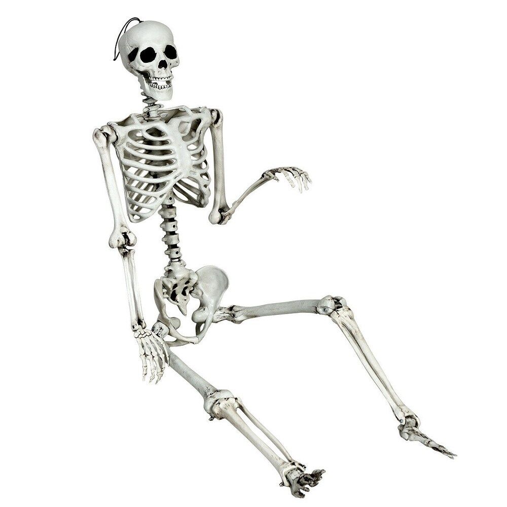 Gymax Full Body Halloween Skeleton 5.4ft Life Size w/ Hanging Rope (White) | Bed Bath & Beyond