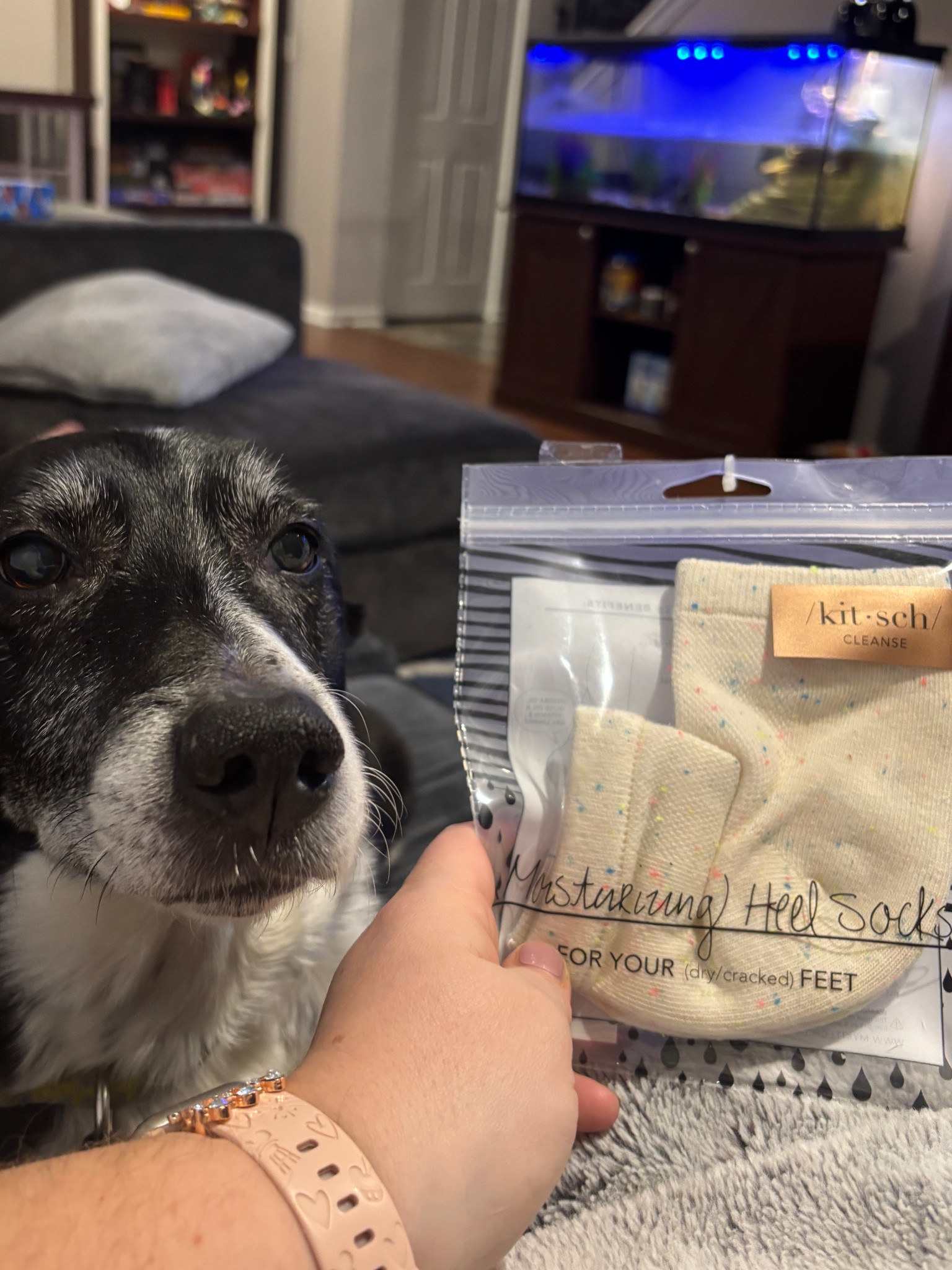 Wanted to get softer heels during this brutal winter! #selfcare #kitsch 

#LTKHome #LTKFindsUnder50