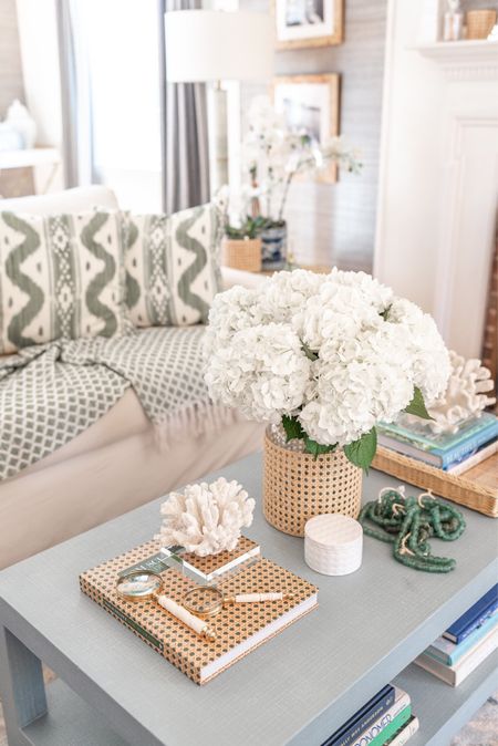 Cane home decor and green accents for spring 🌿🌿🌿

#canehomedecor #coffeetablebook #chinaseaspillow #quadrillepillow #homedecor #springhome 

#LTKSeasonal #LTKFind #LTKhome