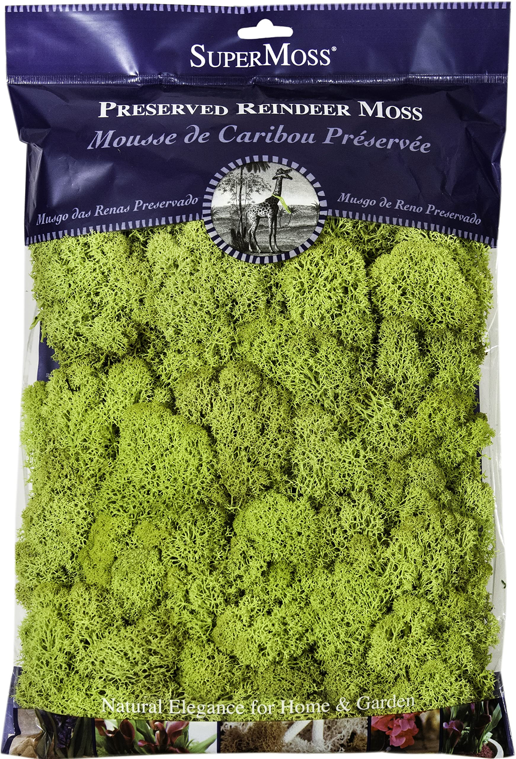 Super Moss 21669 Reindeer Moss Preserved, Chartreuse, 8oz (200 cubic inch) | Amazon (US)