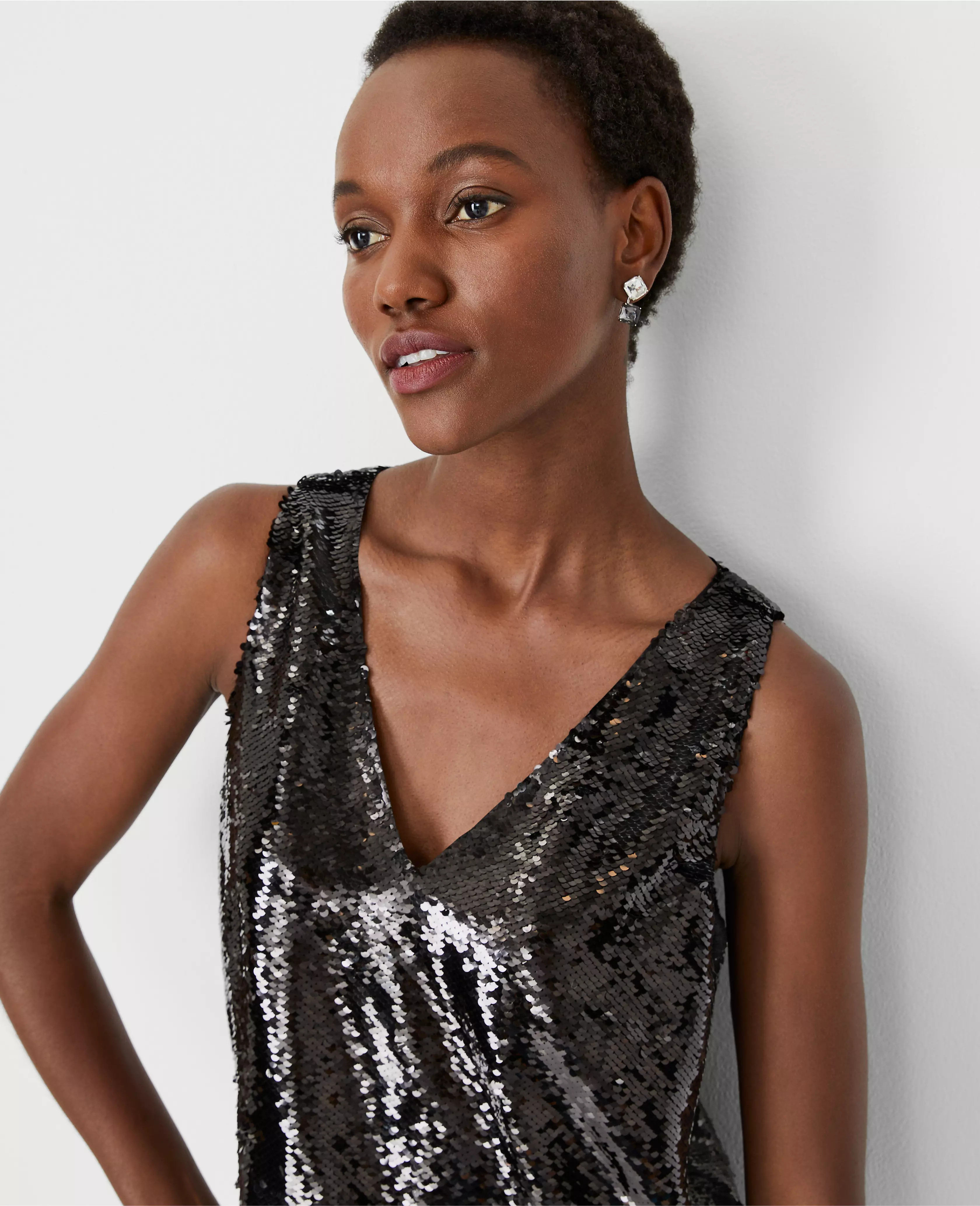 Sequin Sleeveless V-Neck Top | Ann Taylor (US)