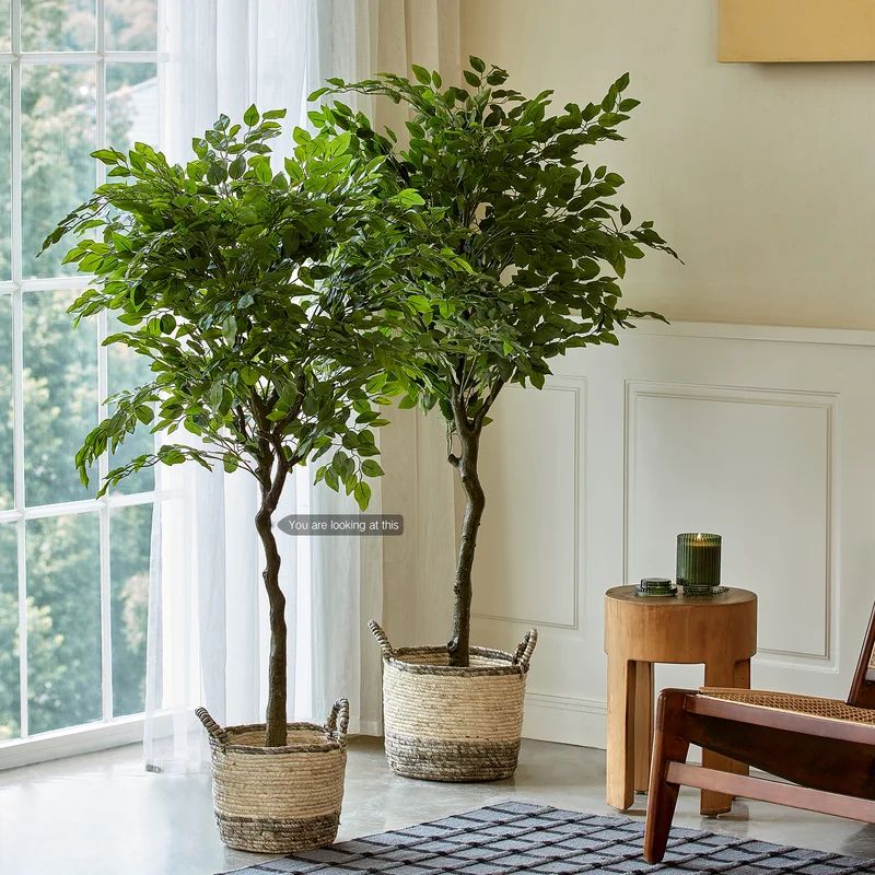 Carlos Artificial Ficus Tree in Pot | Wayfair North America