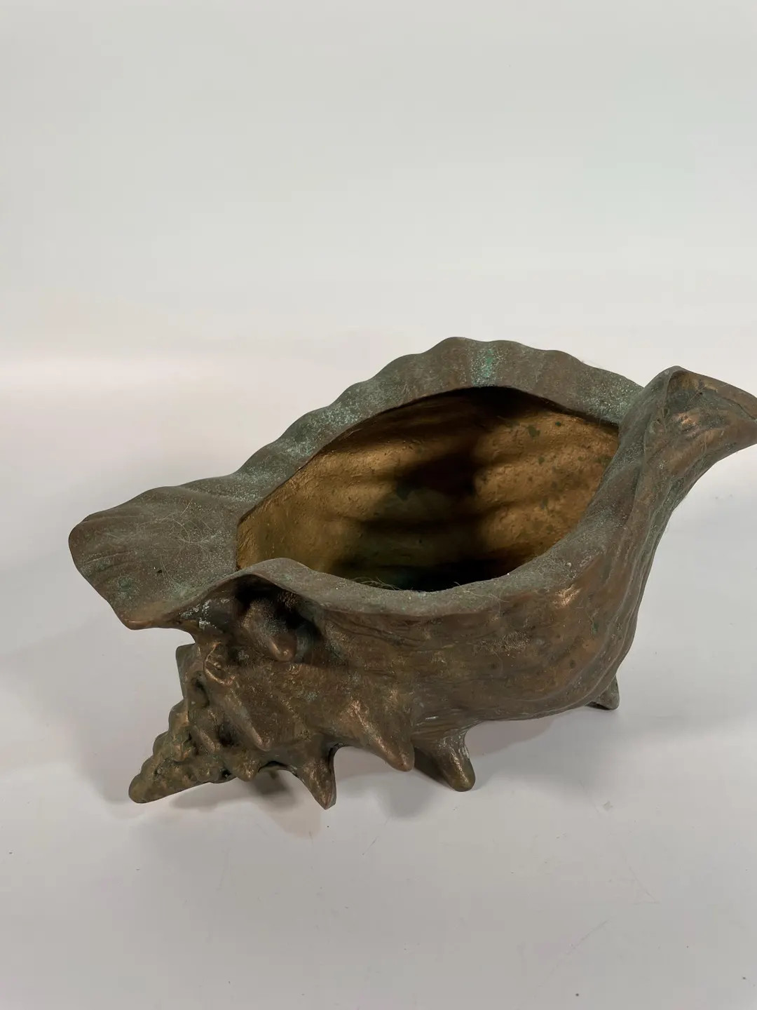 Conch Shell Brass Decor - Etsy | Etsy (US)