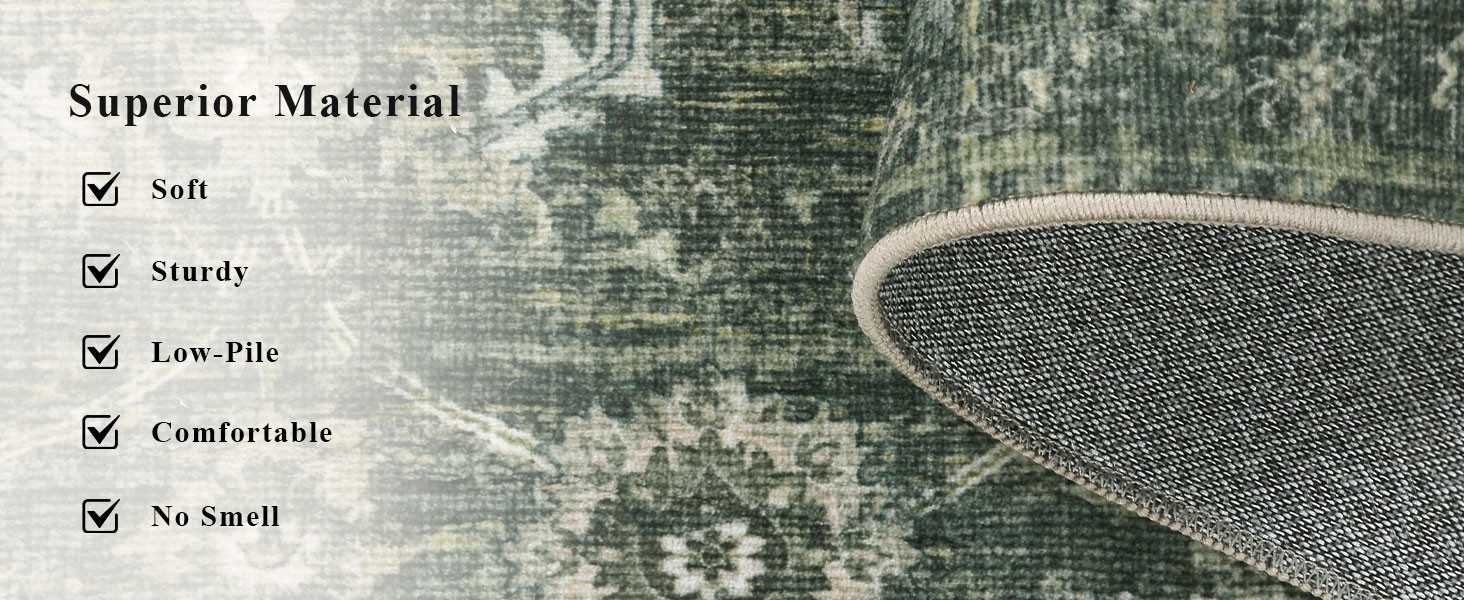 Washable Area Rug 8x10 Green Rugs for Living Room, Vintage Boho Large Rug for Bedroom Dining Room... | Amazon (US)