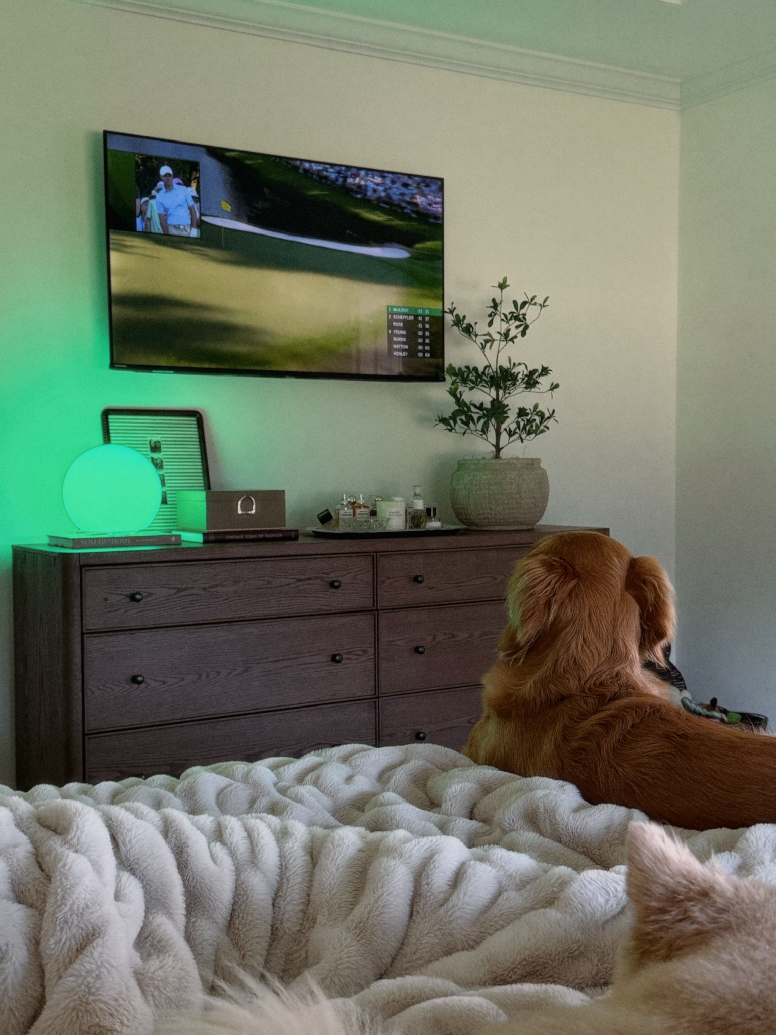 Loving this globe lamp from
Ikea. You can change the colors by your mood. Such a fun way to add some personality and mood light. Dresser styling. Dresser. Black mini Olive tree. 

#LTKHome