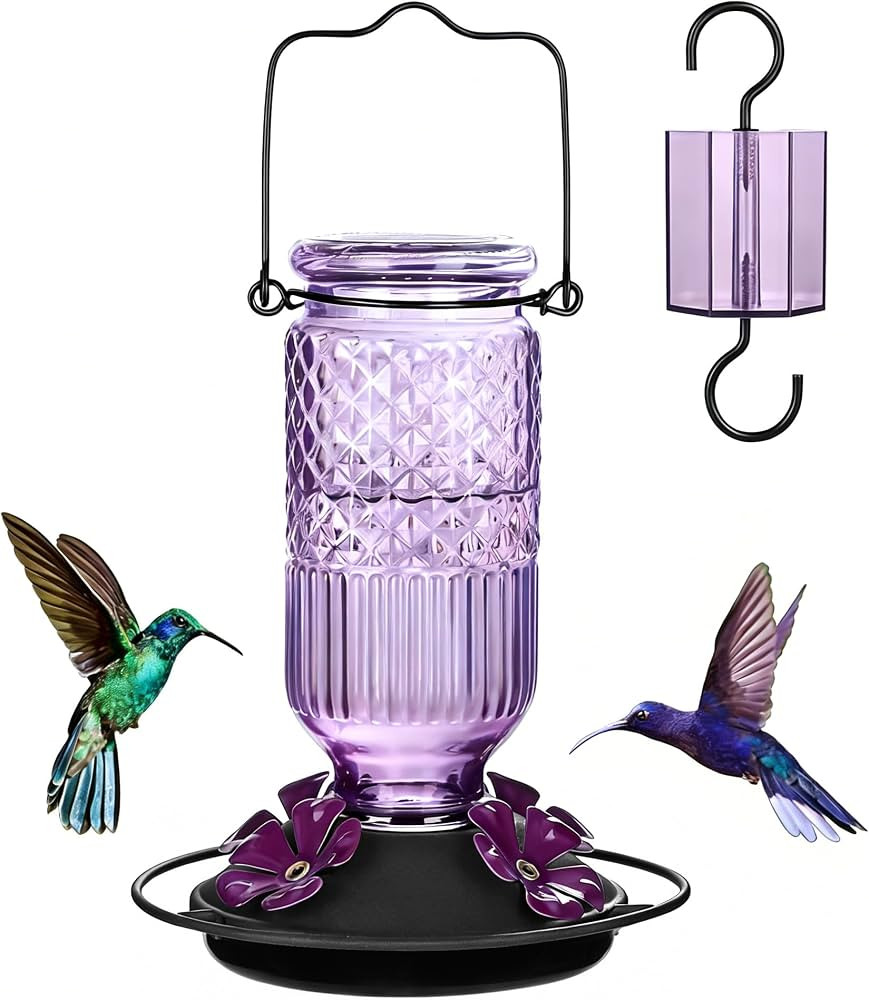 FEED GARDEN Glass Hummingbird Feeder for Outdoors Hanging, 16 oz Leak-Proof Nectar Feeder with Be... | Amazon (US)