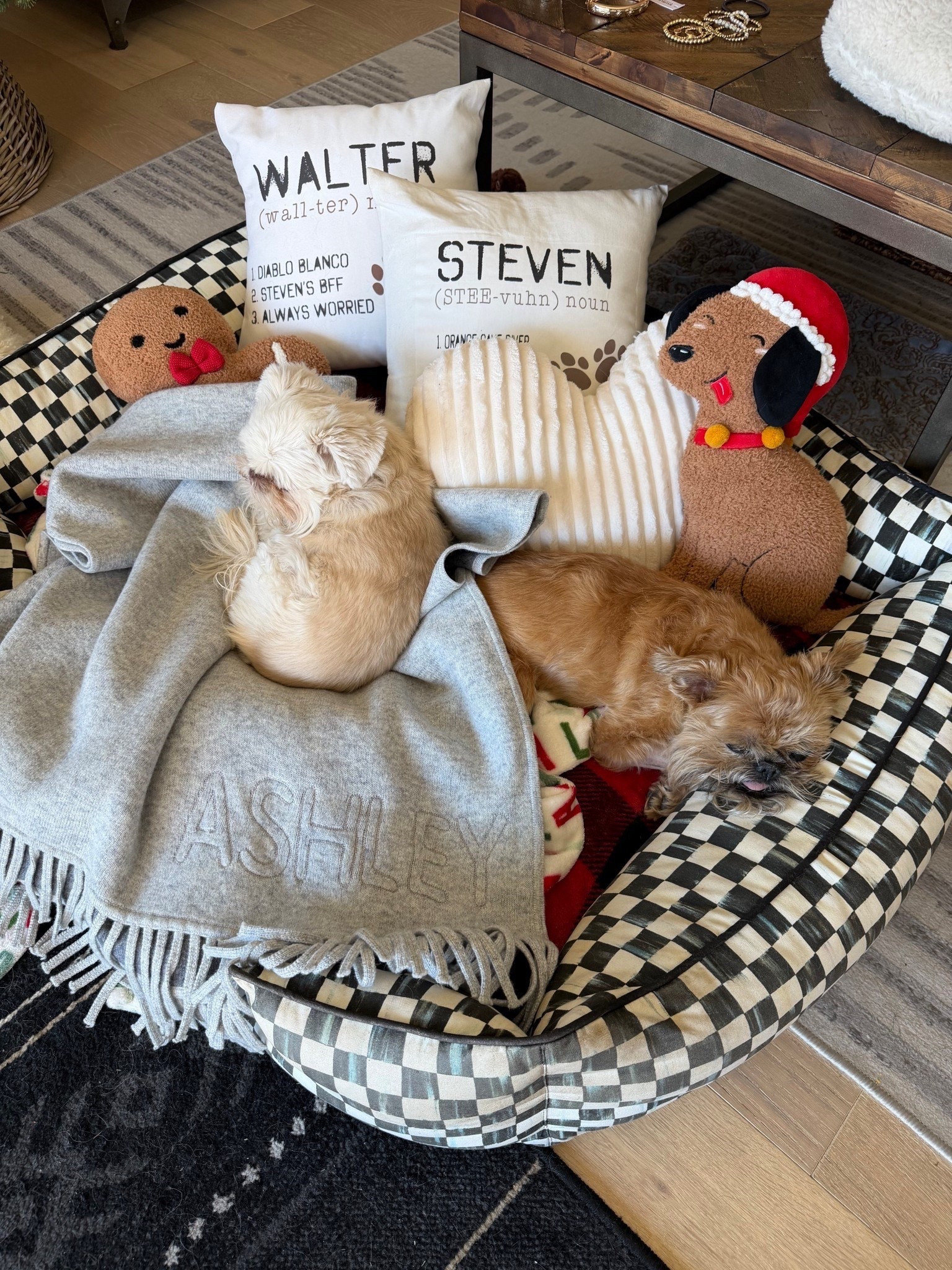 The dog’s MacKenzie-Childs dog bed is on major sale! I’ve never seen them priced this low! 



#LTKSaleAlert