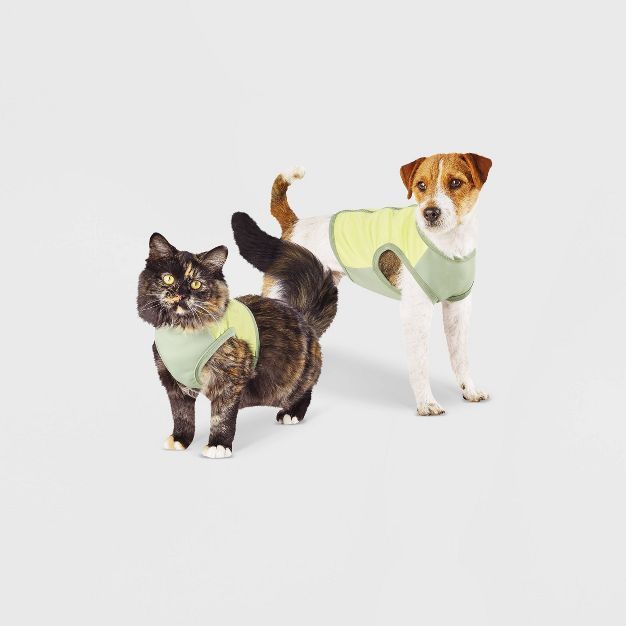 Spacer & Mesh with Zipper Centerback Cooling Dog and Cat Vest - Green - Boots & Barkley™ | Target