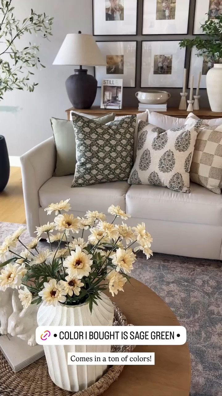 Spring throw pillows! #LTKStyleTip #LTKWatchNow

