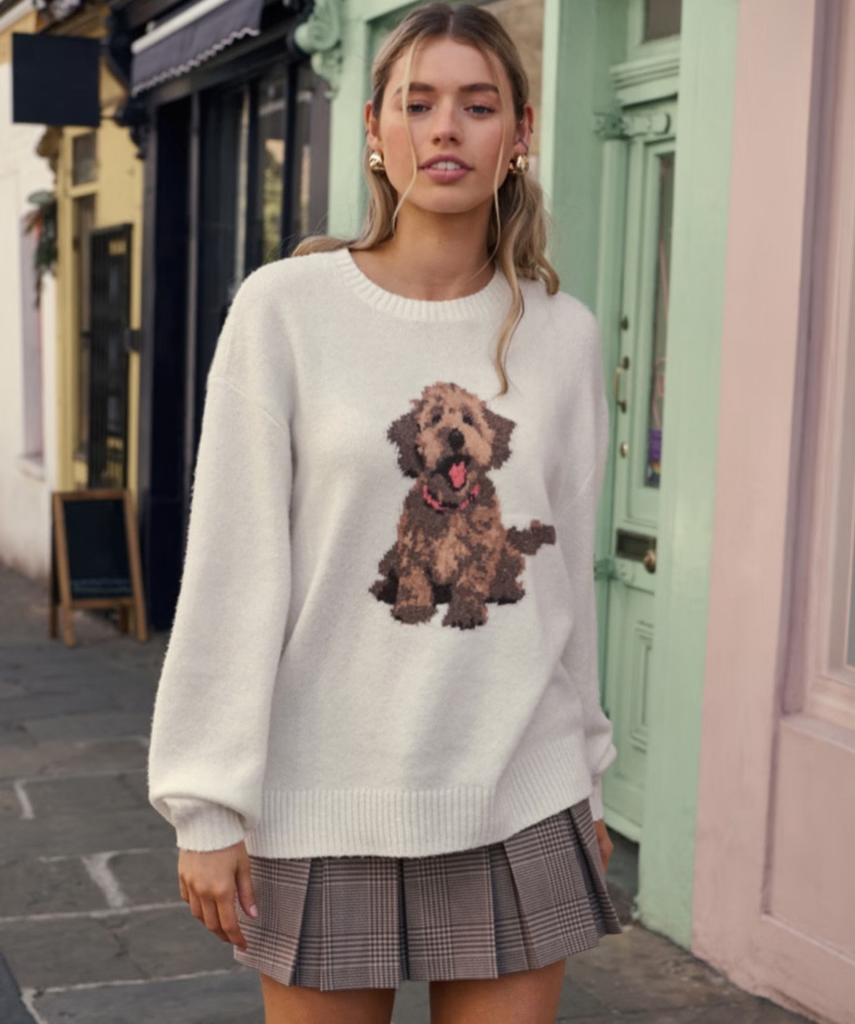 Puppy sweater! Perfect for fall 

#LTKGiftGuide #LTKFindsUnder50 #LTKSeasonal