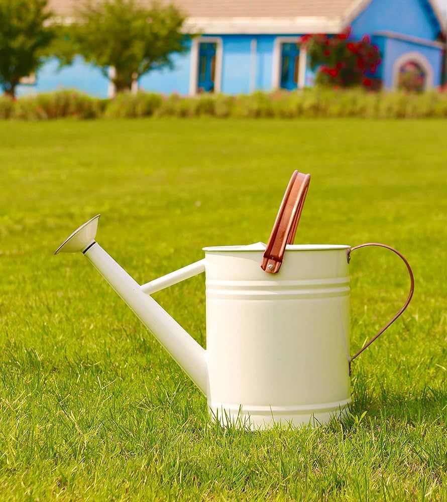 Watering Can for Outdoor&Indoor Plants，1 Gallon Metal Plant Watering Can with Copper Handles,Ga... | Amazon (US)