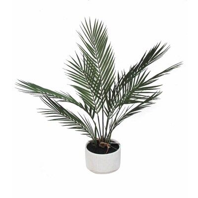 allen + roth 24-in Green Artificial Palm Plants Lowes.com | Lowe's