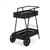 Unbranded 2-Tiers Iron Bar Cart, Outdoor Serving Cart in Black Barcart-1 | The Home Depot