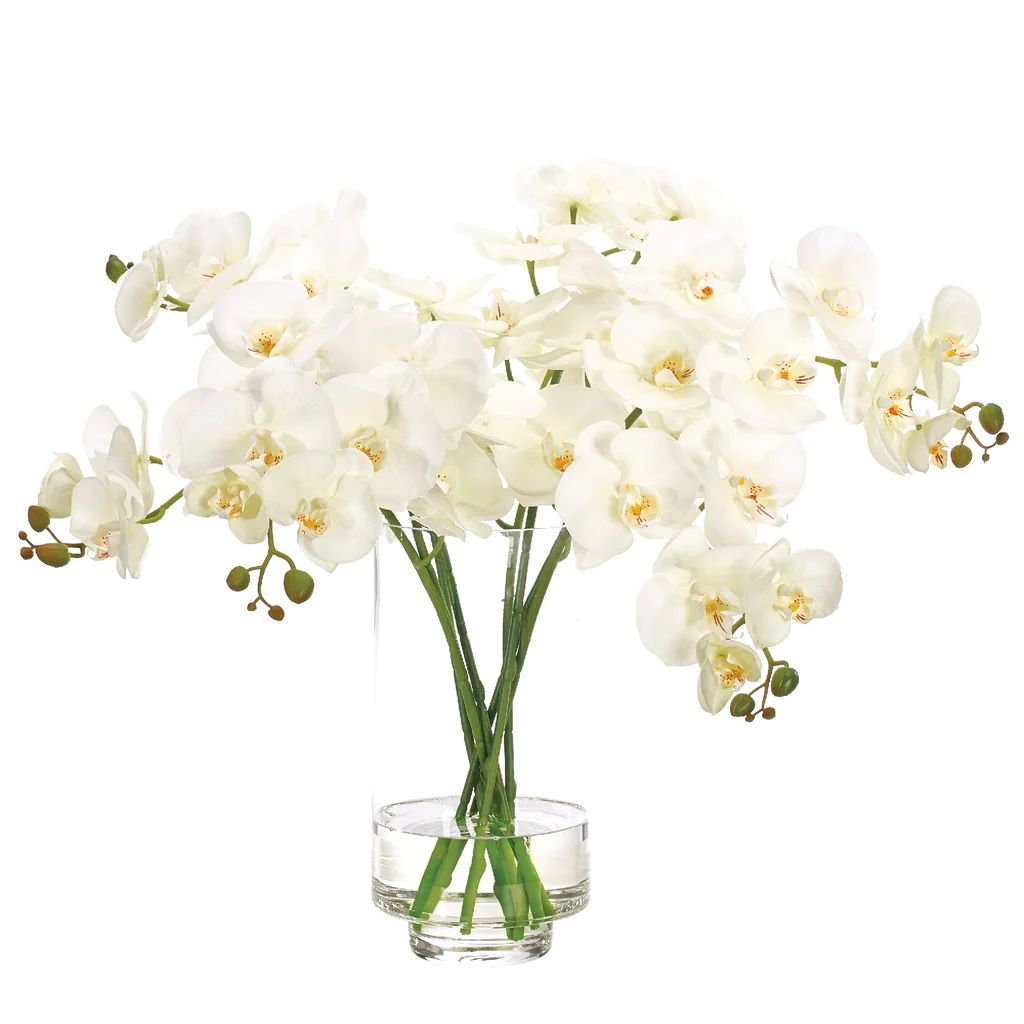Faux White Orchids | Caitlin Wilson Design