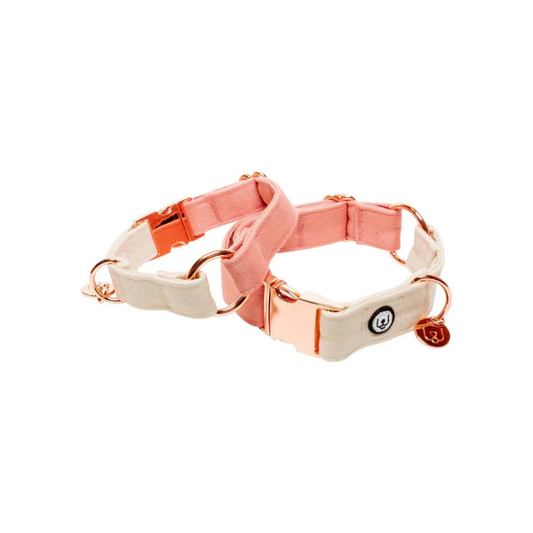 Blossom-Ivory Collar | Design Milk