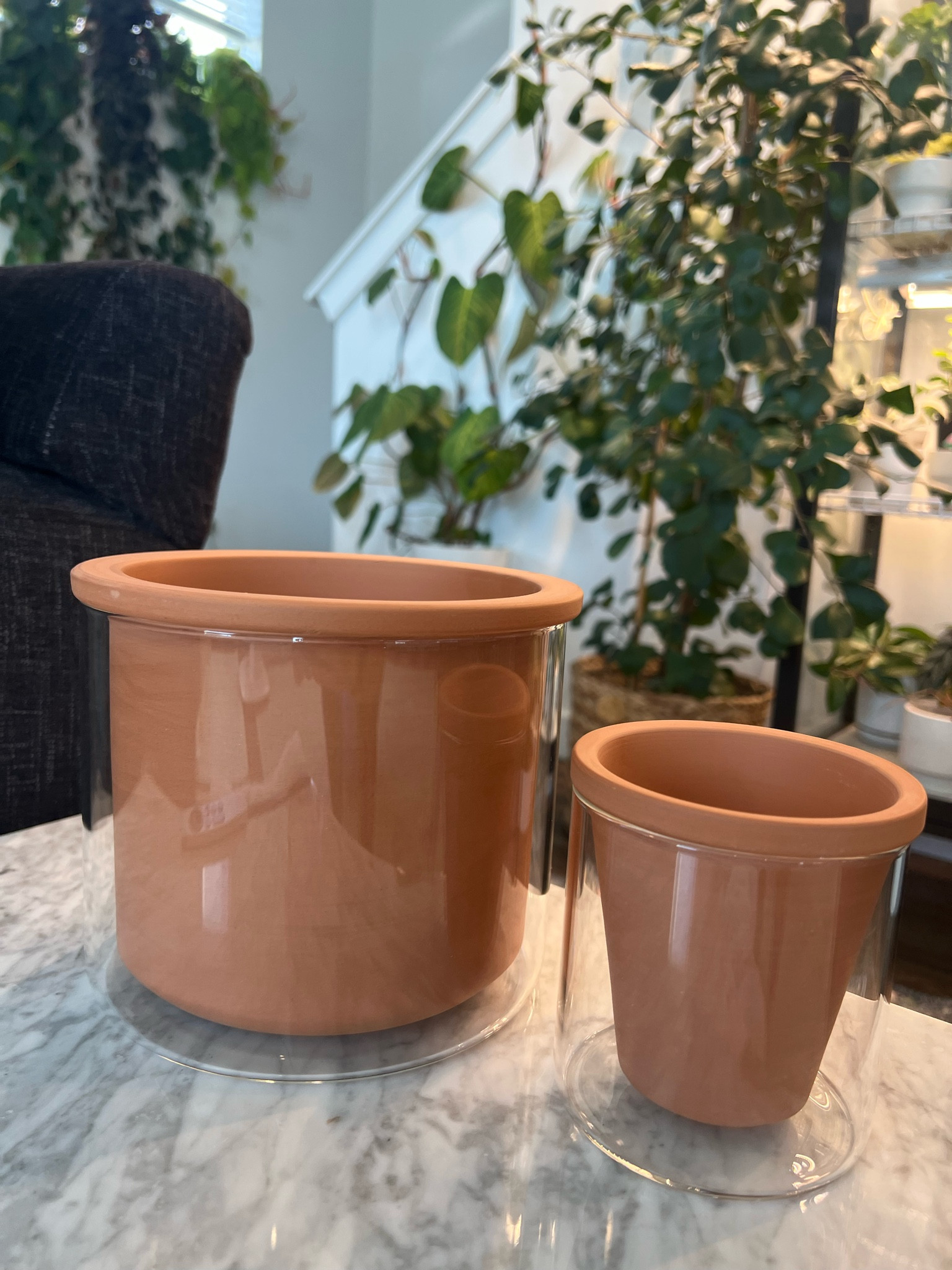 Self watering pots 

#LTKunder50 #LTKhome