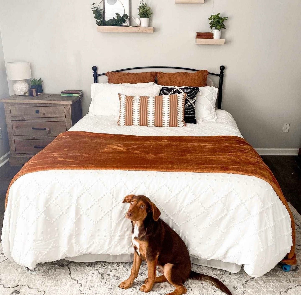 Cute and adorable oversized throw blanket from target 

#LTKGiftGuide #LTKHoliday #LTKSeasonal