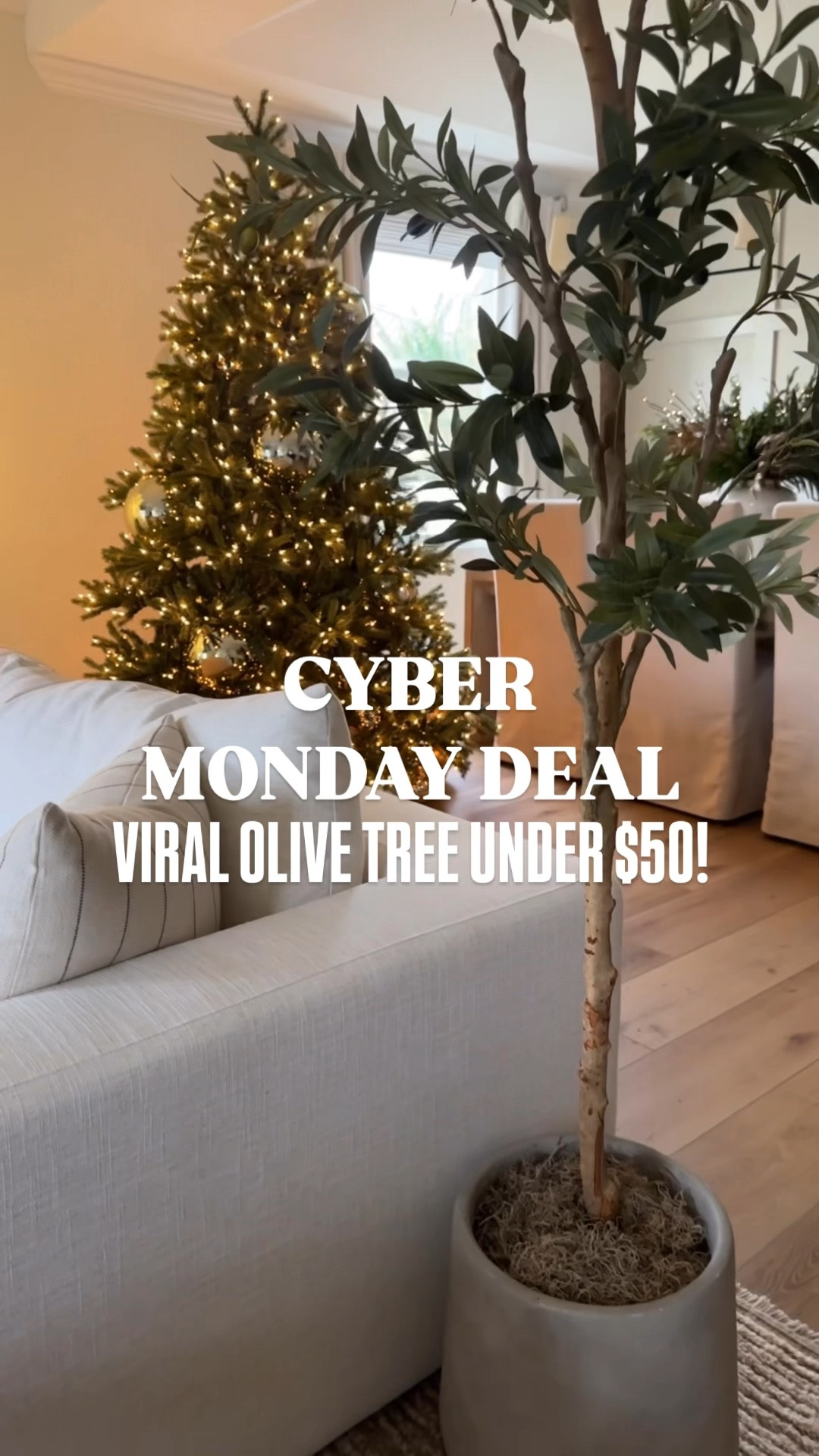 Cyber Monday Deal: The viral olive tree under $50! 

#LTKSeasonal #LTKCyberWeek #LTKHoliday