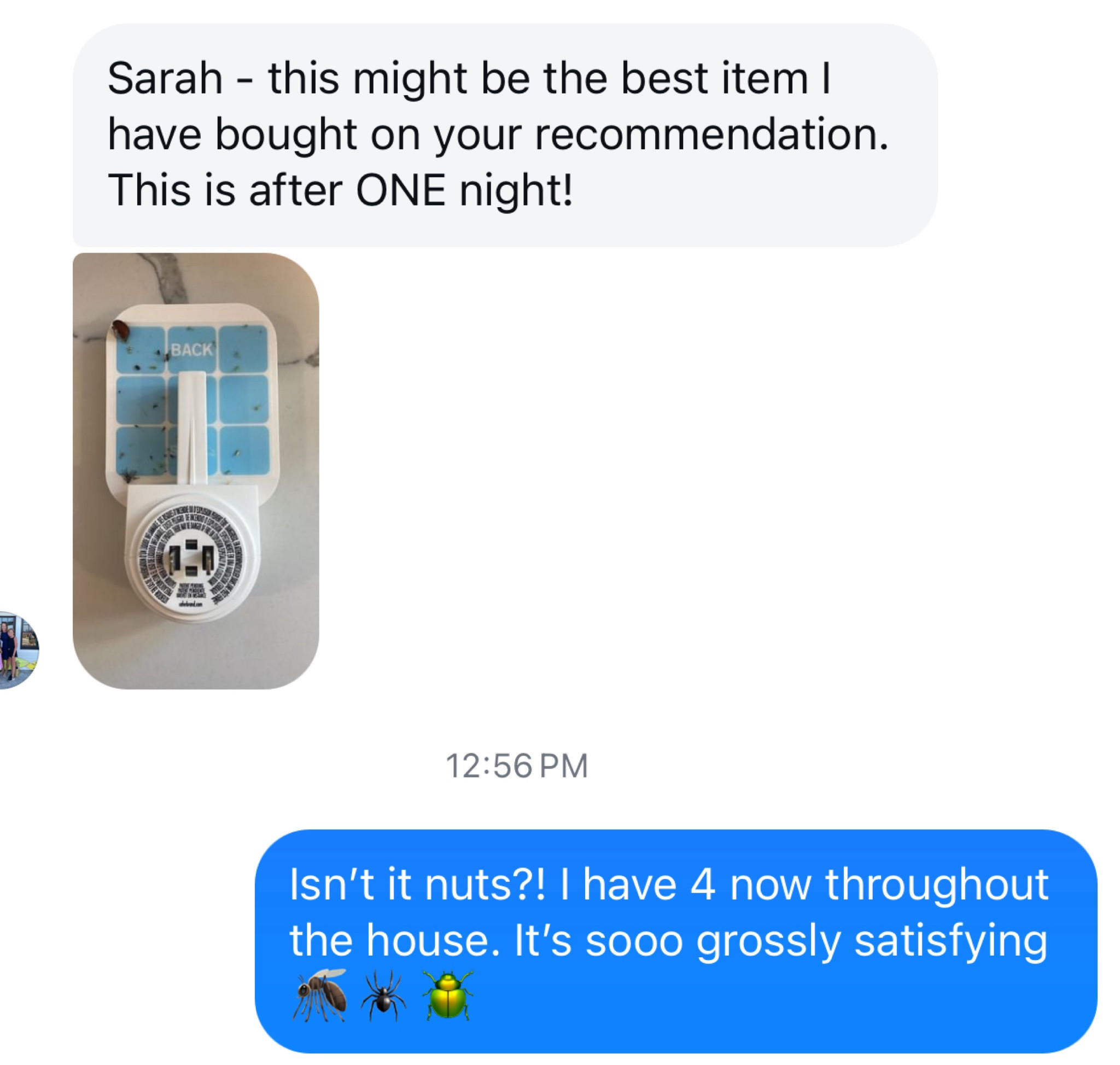 best bug blaster 

#LTKSeasonal #LTKHome