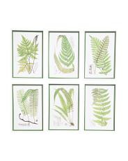 set of 6 12x18 layered fern prints wall art | TJ Maxx
