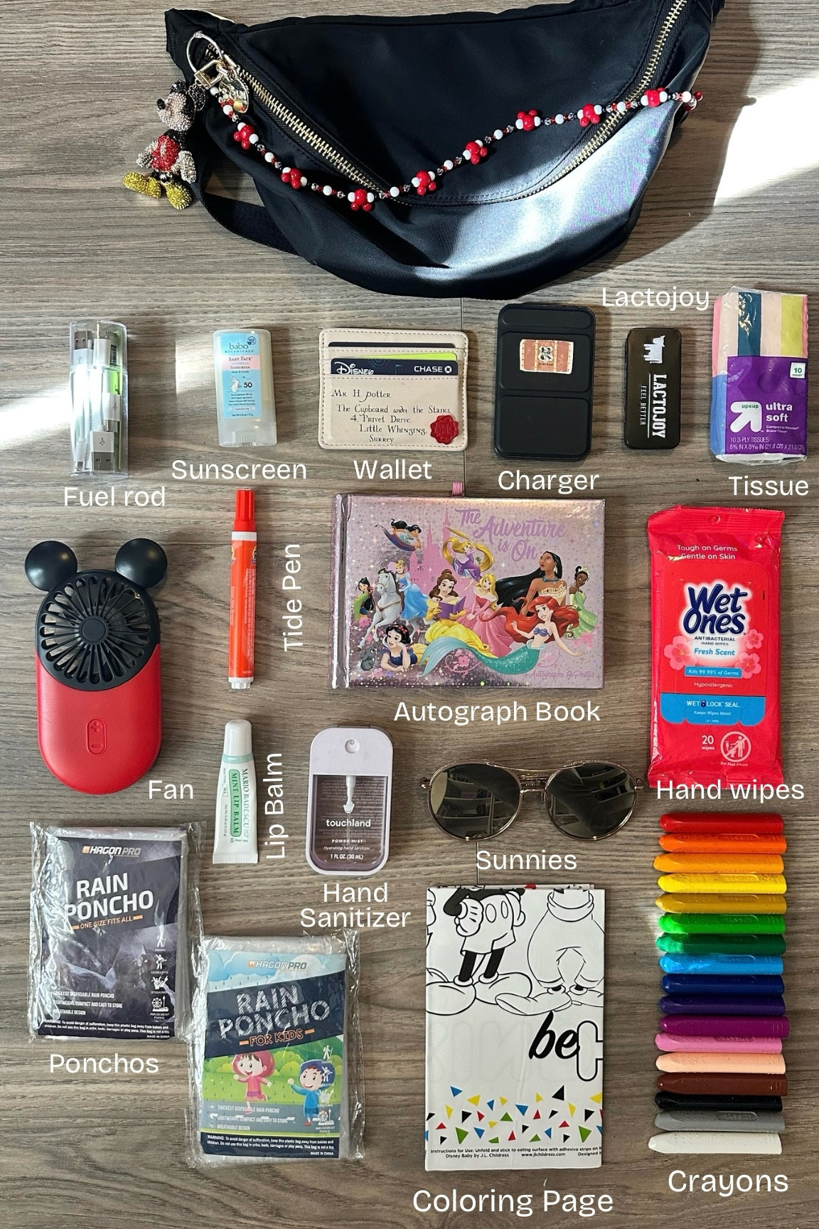 My Disney Park Bag Essentials

#LTKFamily #LTKBeauty #LTKTravel
