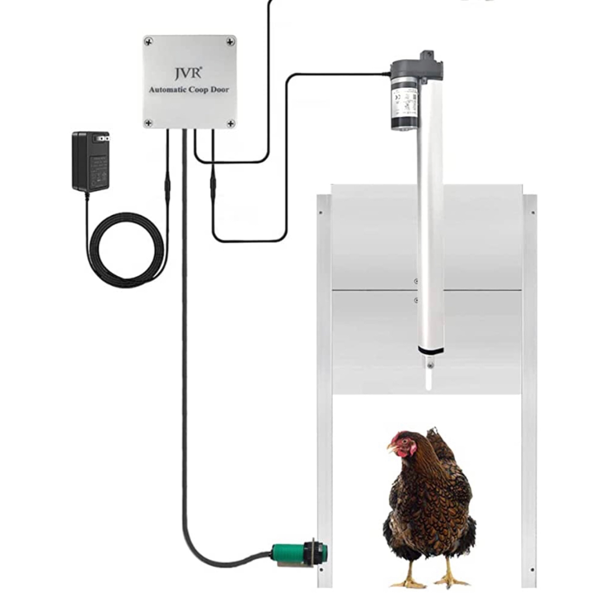 Automatic chicken door