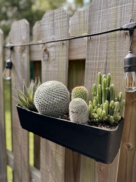 Cutest little cactus garden for hanging planters in outdoor patio!

#LTKunder50 #LTKhome #LTKstyletip