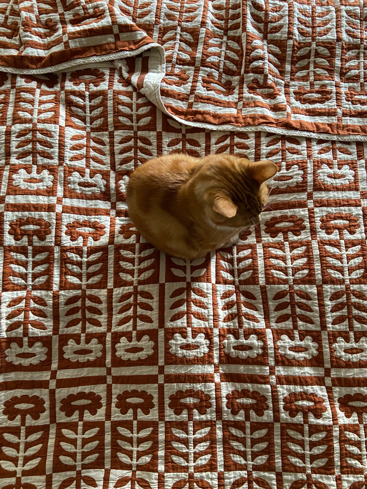 fave quilt on sale — comes in multiple sizes and colors

#LTKsalealert #LTKGiftGuide #LTKhome