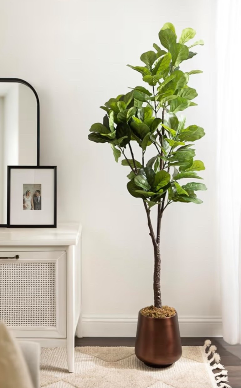 6-foot faux fiddle leaf fig tree with that rich, moody greenery that instantly makes a bedroom feel fuller, warmer, and more styled. 🌿 Perfect for an empty corner, entryway, bedroom, office, dining room, living room, or cozy reading space when you want height, texture, and a little natural-looking drama without the maintenance. The antique bronze planter and added moss give it a more elevated designer feel than a basic fake plant. 

Add this tree if your space needs an effortless statement piece that brings the room to life. ✨

#LTKSeasonal #LTKHome #LTKOver40