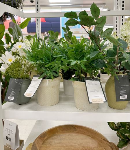 Get your floral on!  So many cute and colorful spring options to choose from. 







Faux florals and greenery, fern, studio McGee, target, threshold, spring stems, floral picks #competition 

#LTKFind #LTKhome #LTKSeasonal