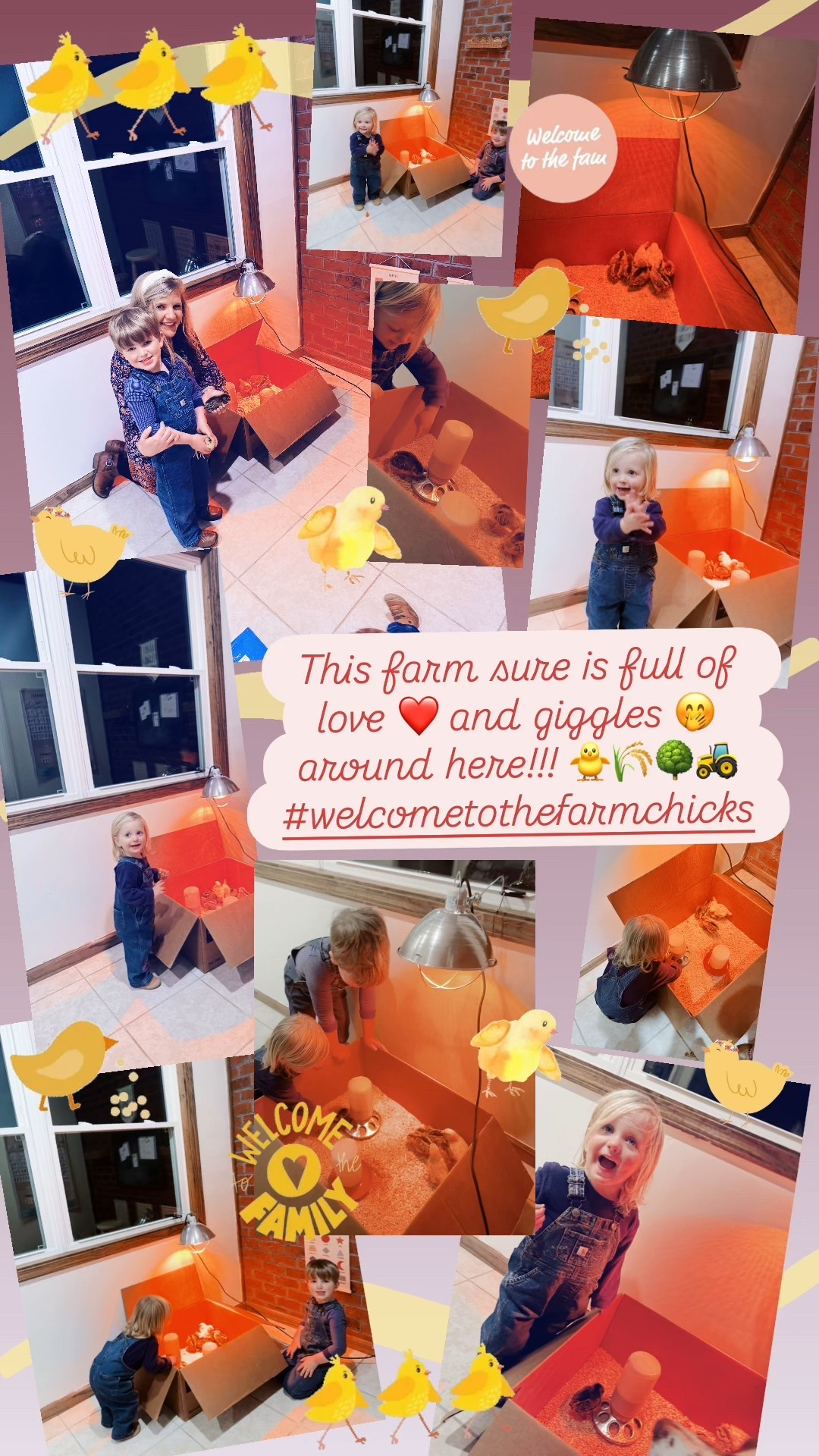 This farm sure is full of love ❤️ and giggles 🤭 around here!!! 🐥🌾🌳🚜 #welcometothefarmchicks