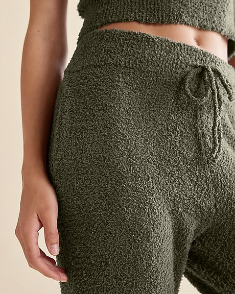 Super High Waisted Cozy Teddy Jogger Pant | Express