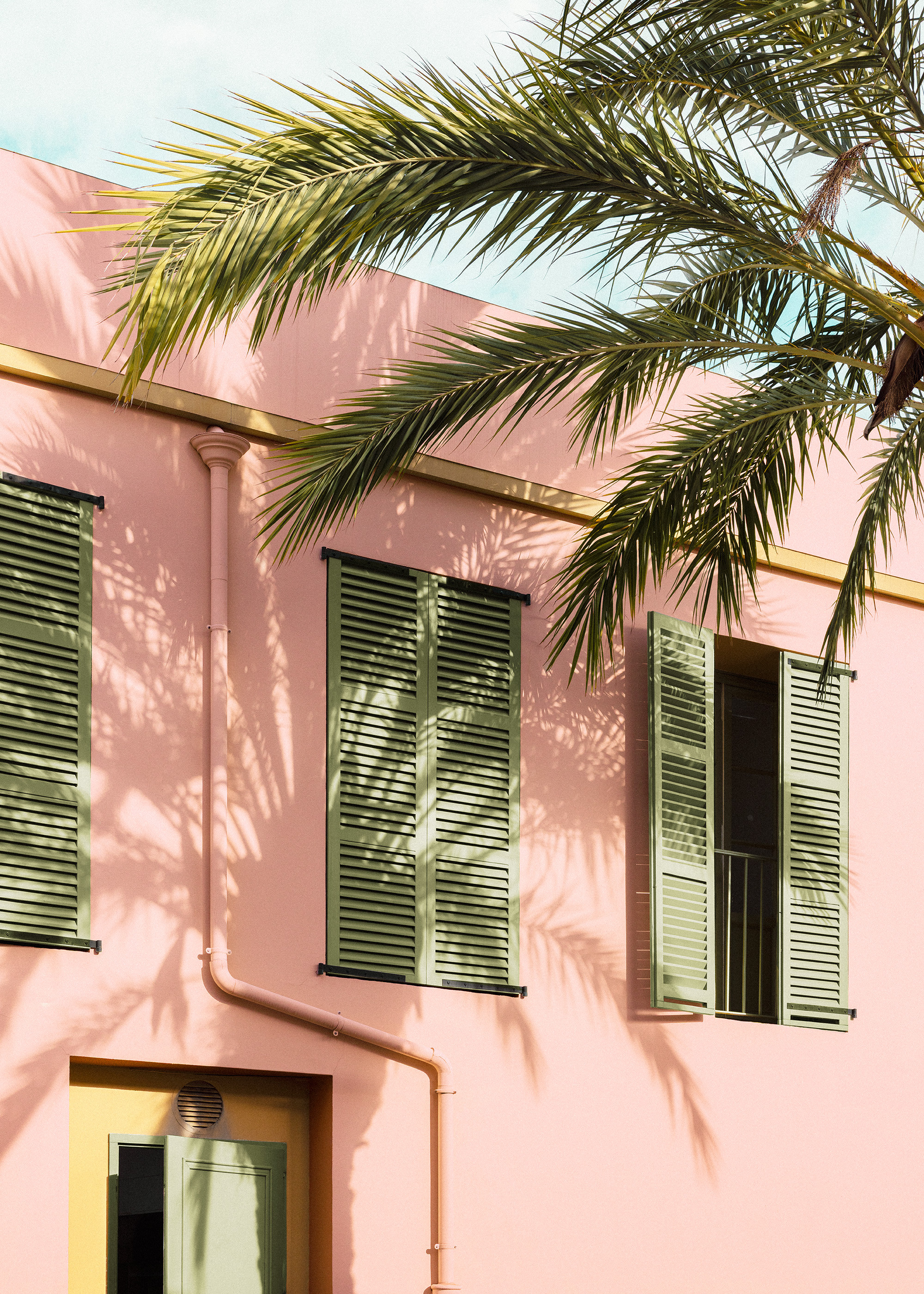 Palm and Pastel Print | Desenio