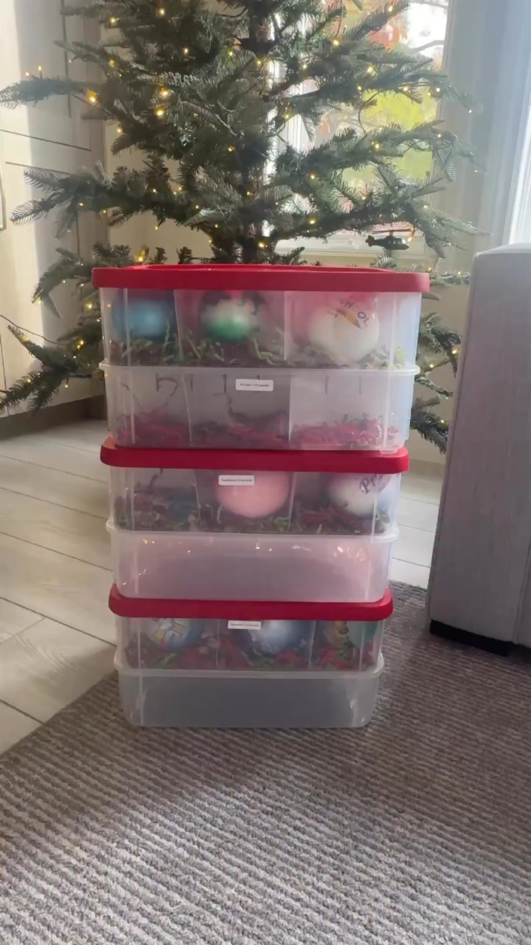 One ornament for every chapter of their childhood.
One  ornament a year — something that says this was you.And when they’re older, with homes and families of their own…

They’ll take this magic with them.
Not just décor — but memories.
The kind that sparkle forever. ✨🎄

Tell me your favorite childhood tradition ↓
I love hearing these. ❤️

COMMENT SHOP for these ornament containers. 

#MomTraditions #EmotionalMomContent #ChristmasMemories #FamilyTraditions
#RaisingGoodHumans #ChildhoodMagic #MotherhoodMoments #KeepsakeOrnaments
#MotherhoodUnfiltered #SentimentalMoms