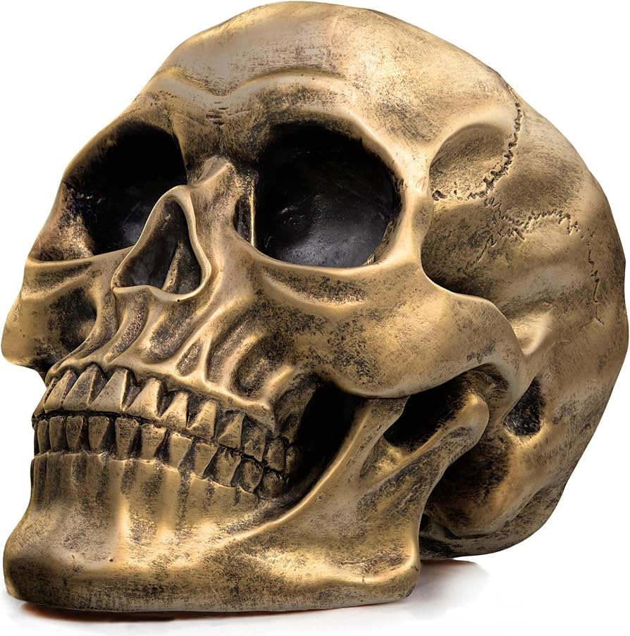 READAEER Life Size Human Skull Model 1:1 Replica Realistic Human Adult Skull Head Bone Model (Gol... | Amazon (US)