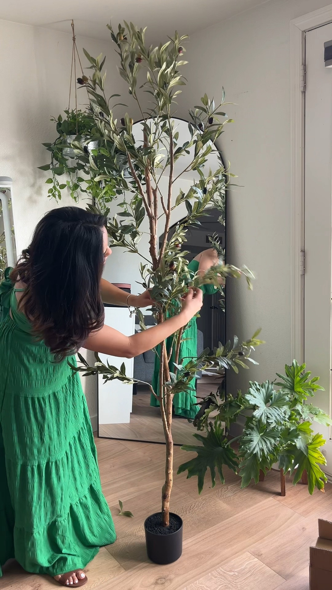 ✨Encontré el árbol de olivo perfecto al mejor precio🤩

#LTKStyleTip #LTKHome #LTKVideo