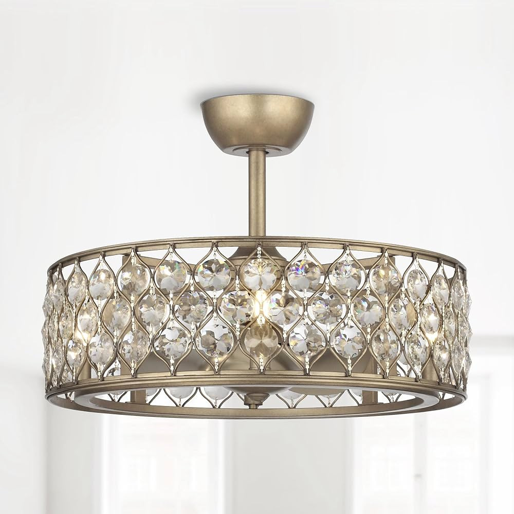 Parrot Uncle Ceiling Fans with Lights and Remote Modern Caged Chandelier Ceiling Fan with Light B... | Amazon (US)