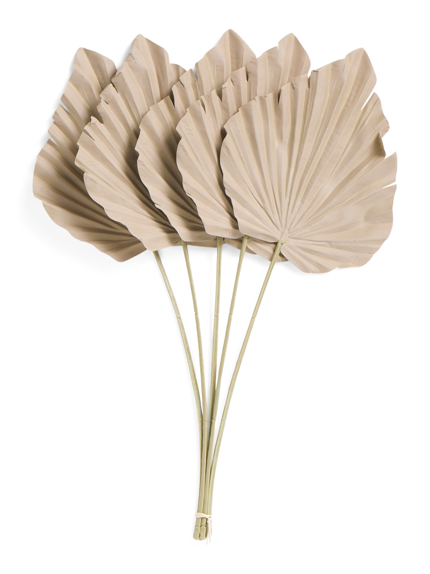 Set Of 5 24in Palm Leaf Stems | TJ Maxx