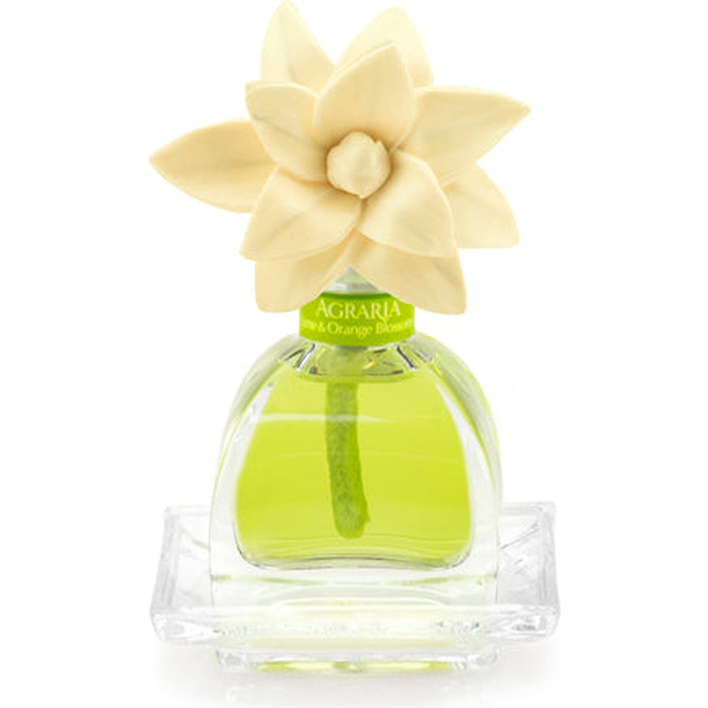 Agraria San Francisco PetiteEssence Diffuser in Lime & Orange at Nordstrom | Nordstrom